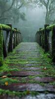 Mossy wooden bridge leading into foggy forest photo