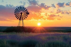 Windmill standing in lavender field at sunset illuminating orange clouds photo