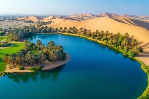 Artificial lake in the middle of liwa desert oasis reflecting palm trees in the united arab emirates photo