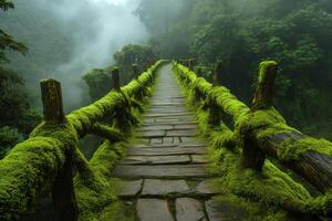 Lush moss covered bridge in misty forest photo
