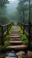 Wooden bridge with moss leading into foggy forest in autumn photo