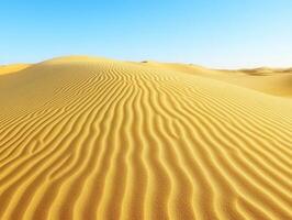 Golden dunes stretch under a clear blue sky in the desert photo