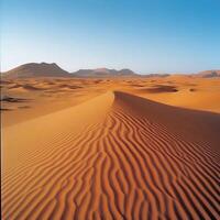 Expansive golden sand dunes under clear blue sky photo