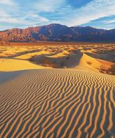 Golden sands ripple under the desert sun at dusk photo