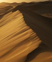 Dunes ripple under golden sunlight in vast desert photo