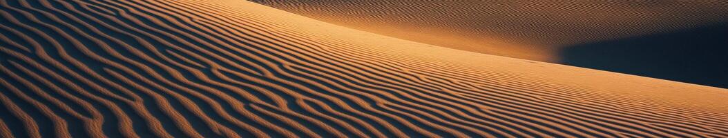 Rippling sand dunes at sunset in a vast desert expanse photo