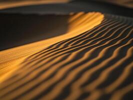 The sand dunes of the sahara desert photo