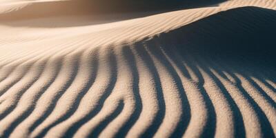 The sun is shining on a sand dune in the desert photo