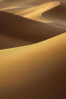 A desert with sand dunes and dunes photo