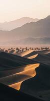 The sand dunes of the desert at sunset photo