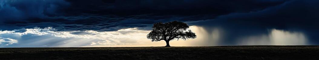 A lone tree stands in front of a stormy sky photo