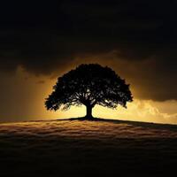 Oak tree silhouetted against a dramatic sunset on a hilltop photo