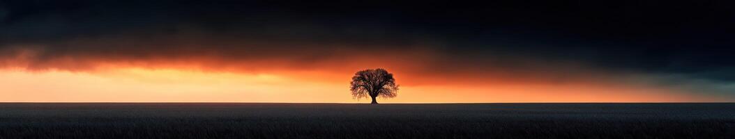 Lone oak tree under a dramatic sunset sky with rolling clouds photo