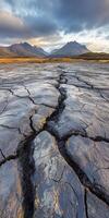 Cracked earth in the middle of a desert photo