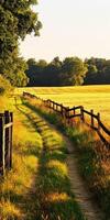 Sunset glow on a rustic dirt road through golden fields and green trees photo