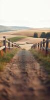 Scenic dirt road winding through lush fields under a clear sky photo