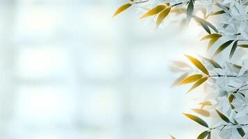 Delicate white flowers and green leaves framing a soft-focus background in a serene setting photo