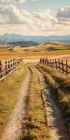 Rustic dirt road through golden fields with a distant mountain view photo