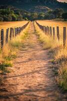 Dusty dirt road stretches through golden fields under a clear sky photo