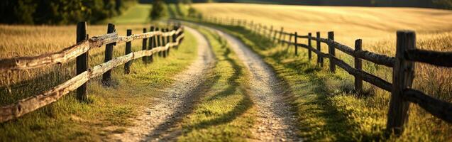 Dirt road winding through golden fields under a clear blue sky photo