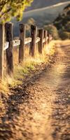 Sunlit dirt road winding through a serene countryside landscape photo