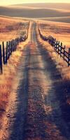 Winding dirt road through golden grasslands in a serene rural setting photo