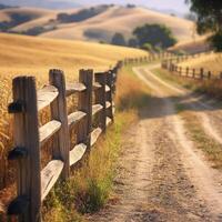 Exploring a tranquil dirt road winding through golden fields and hills photo