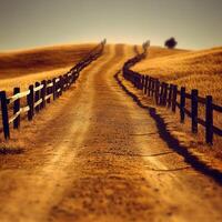Dusty dirt road winding through golden fields under a clear sky photo