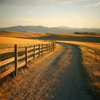 Winding dirt road surrounded by golden fields and distant mountains at sunset photo
