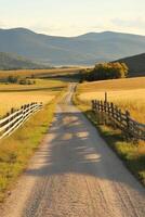 Dirt road winding through fields with mountains in the background during sunset photo