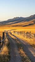 Winding dirt road through golden fields with mountains in the background photo