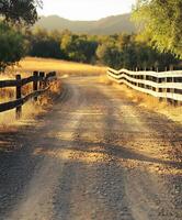Dirt road winding through the countryside with wooden fence and trees photo