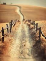 Dirt road winding through dry fields under a hazy sky at sunset photo