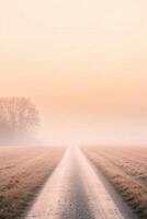 Dirt road leading into a misty horizon at dawn in a quiet rural area photo