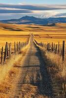 Expansive dirt road stretches through golden fields under a blue sky photo