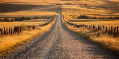 A dirt road runs through the middle of a field photo
