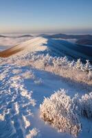 Snow-covered mountain peak at sunrise photo
