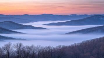 A foggy morning in the mountains with trees and mountains photo