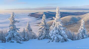 Snow-covered mountains with frosted trees photo