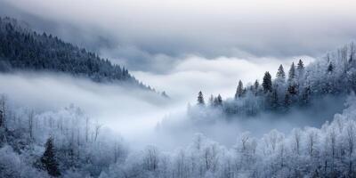 Fog blankets a serene winter valley photo