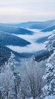 Snowy mountain valley shrouded in fog photo
