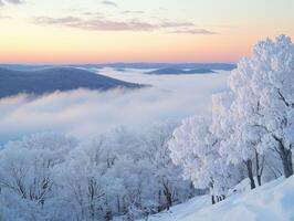Winter landscape with snowy trees and fog photo