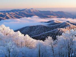 The great smoky mountains in winter photo