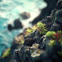 Moss thriving on rocky coastal cliff photo