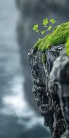 Moss and plant growth on rocky cliff edge photo