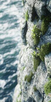Moss covered rocks by the ocean's edge photo