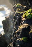 Lush moss covering rocky coastal cliffs photo