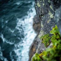 Moss clinging to rocky cliffs by the sea photo