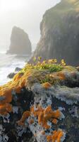 Moss covered rock with flowers by the coast photo