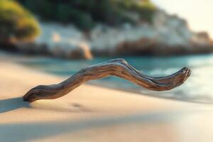 Driftwood resting on the shore at sunset photo